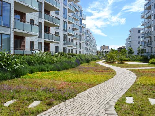 Pathway leading through a vegetated residential courtyard